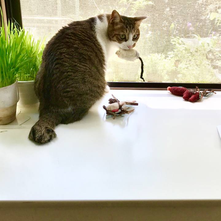 88080b44 65ce 4c0f bd95 42e133b042a2