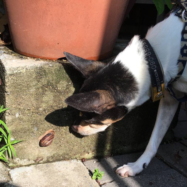 88082e0f b1b1 4564 806b 5d7b01619ee5