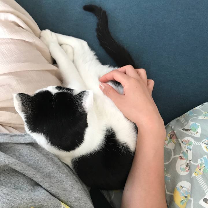 88084912 dc7e 43dc a5da b96f03e7757c