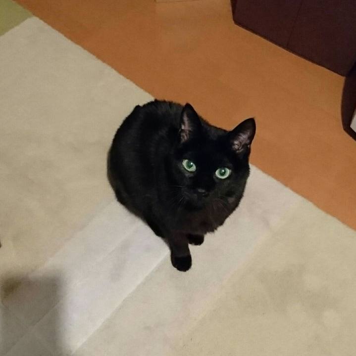 88090744 f50b 41ca 8881 ae2c57dcb955