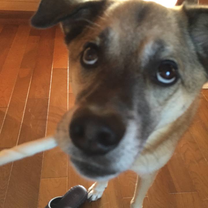 880a2583 8c28 4f98 bfd9 f673e884586b