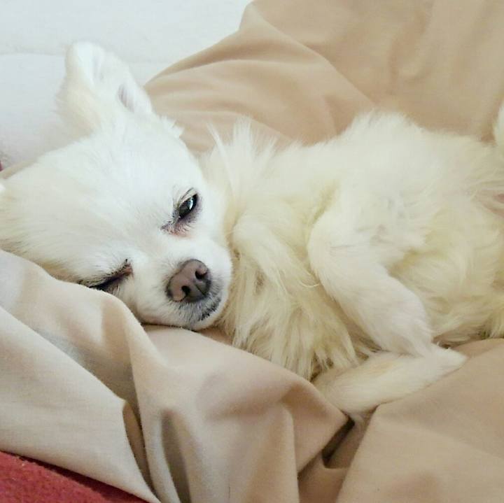 880a2d14 3ae1 4860 9339 6fee5e9b3cf8