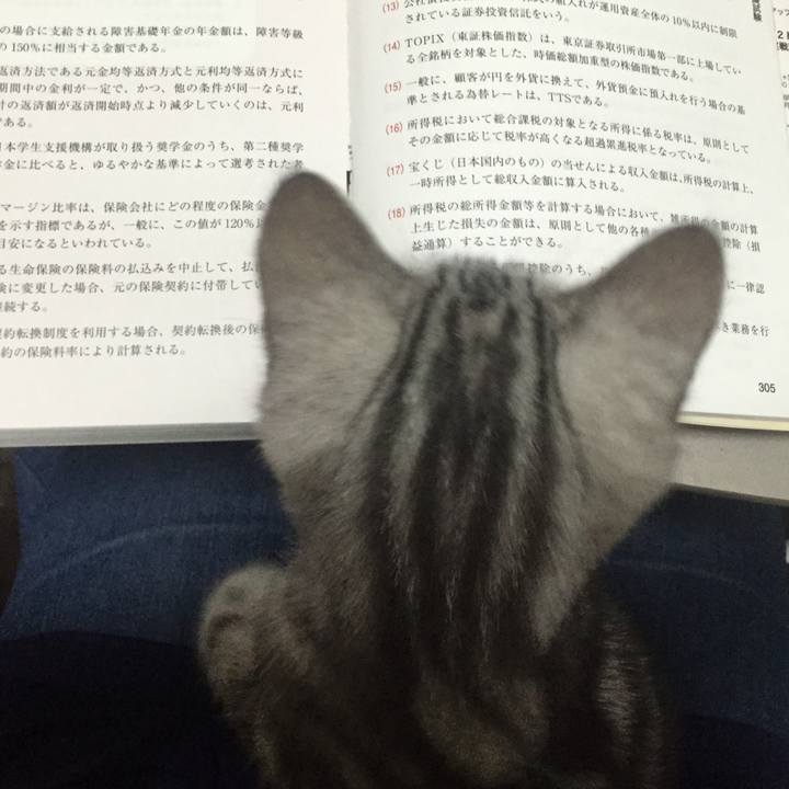 880aad54 47b1 449c 81ac 4d6bd996a0f5