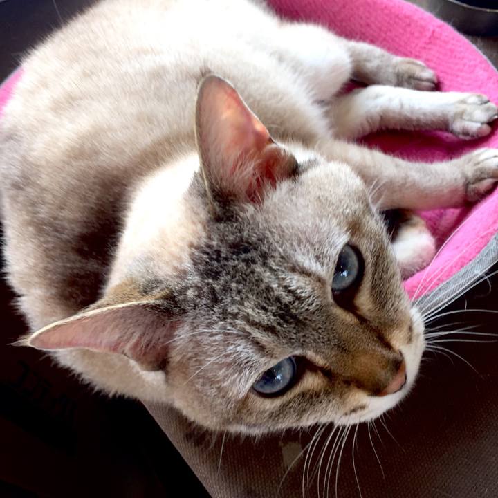 880ae0df 3c9d 4778 9dc3 243dd7585127