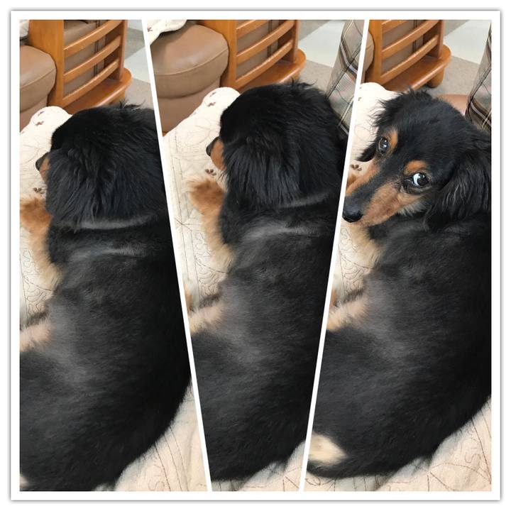 880b3312 103a 420a 9763 bfd629591038