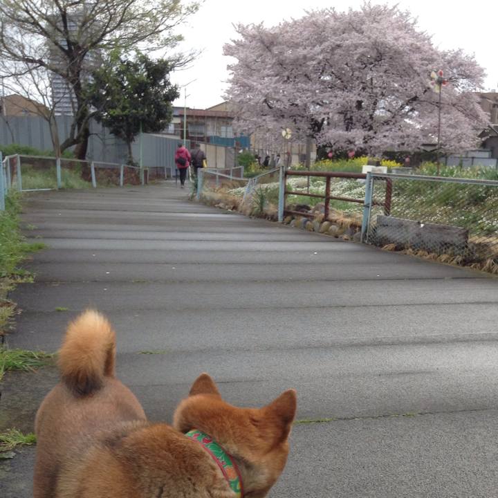 880bba42 fe83 4662 8c0d a6d8ae59e8bd