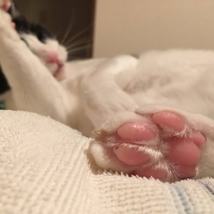 880c6eab e1a9 41f1 a2ac 8df158832776