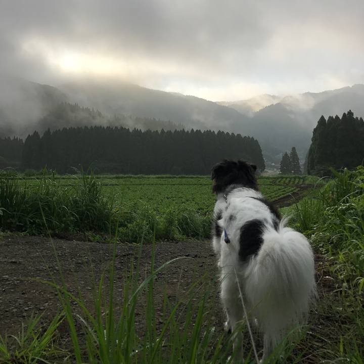 880cad41 77cd 48cb 97e4 e4458a9af84a