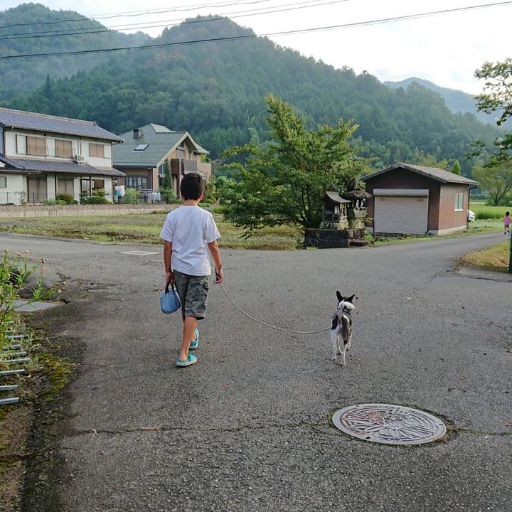 880cdf2d 5e43 4943 b3d3 29d5501d178d