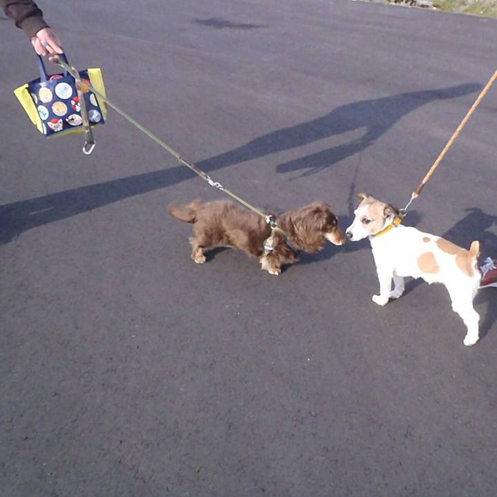 880d4474 4420 4d9b b576 c2e629f6684e