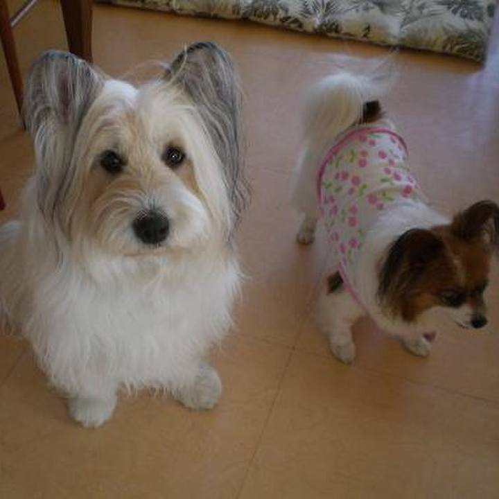 880e0286 005b 449c afee cd88c88dd50d