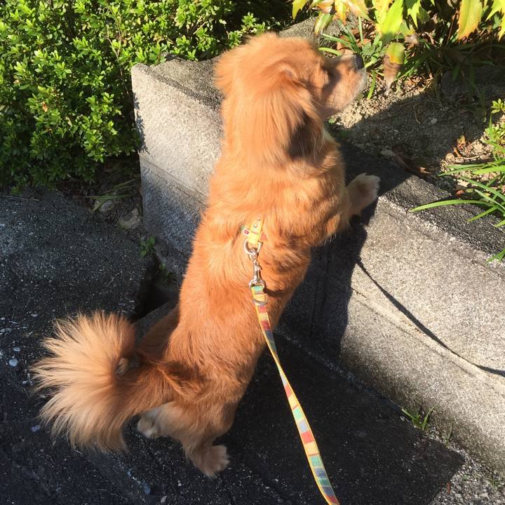 880e34d3 6a8d 4690 9565 eb411c9a98fc