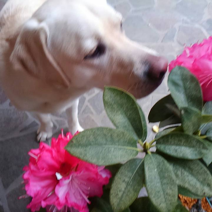 880e7e7e b921 4781 80b1 d55b3a430030