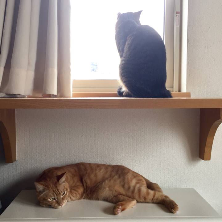 880e8679 9f54 4392 b874 f44cb7e342b2