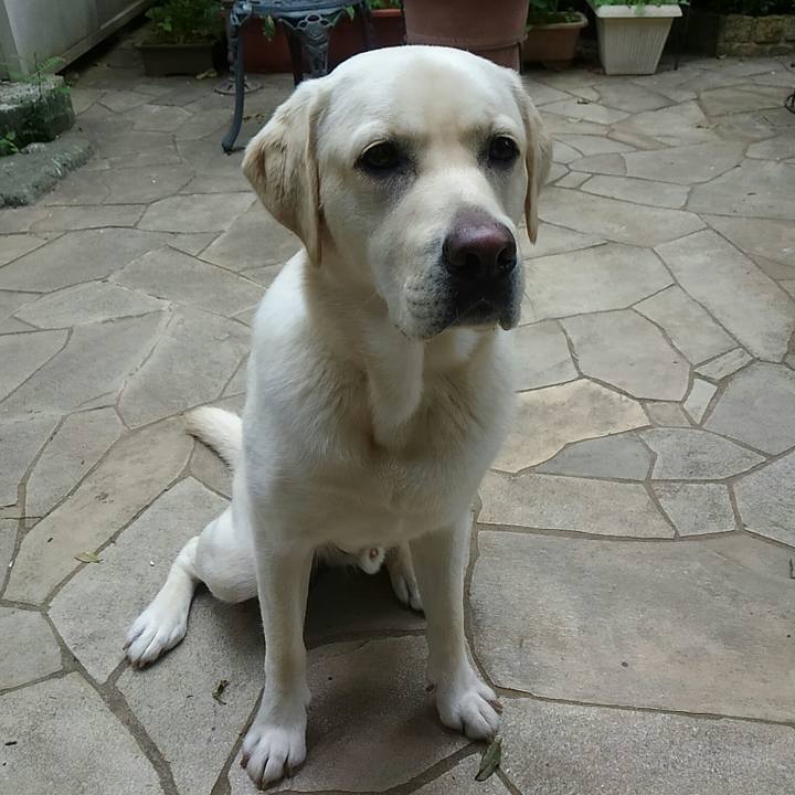 880eae09 0cd3 4660 a89f fb429998fd9e