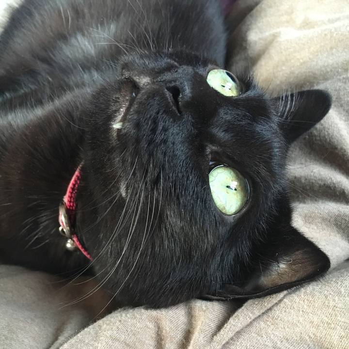 880f7007 8594 404f 872f e5710eb19a27