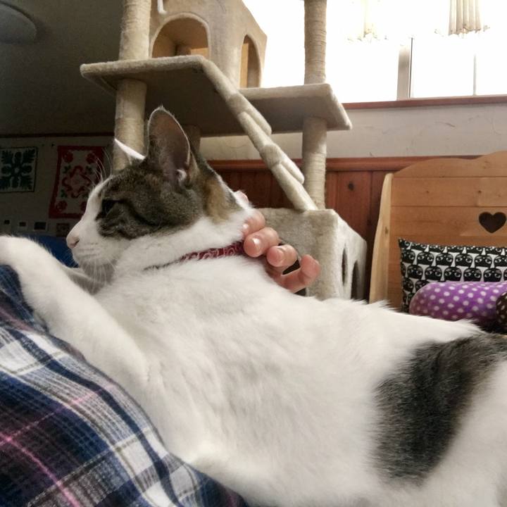 880f70c7 337c 4962 a0ee 00ee9059f72d