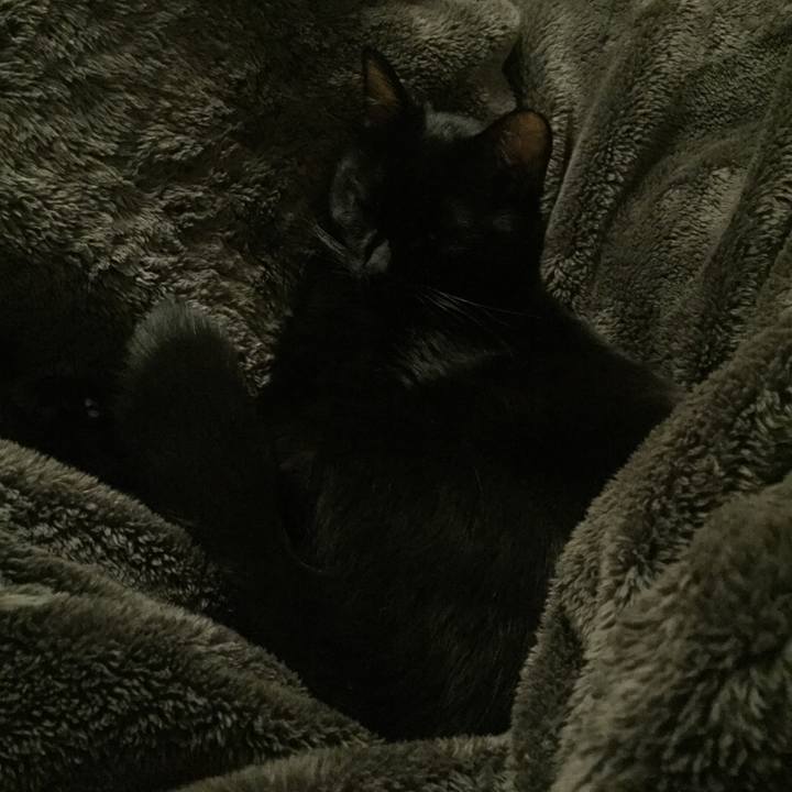 881039cd 9bc7 45d8 be36 6988a7651240