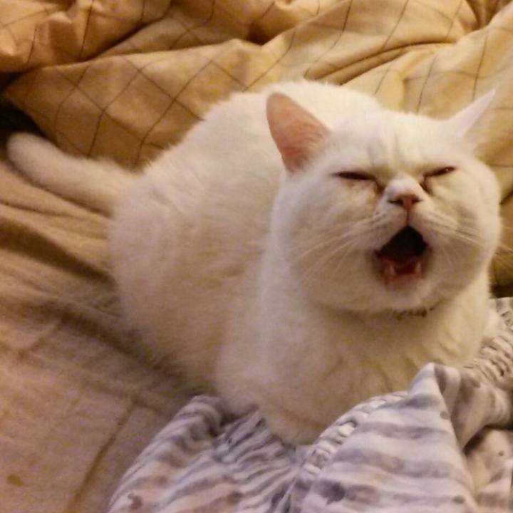 88111483 9bab 4e66 b08f ed8848a3de2a