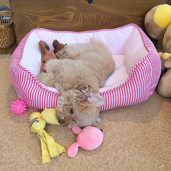 8811ca44 fb91 48fb b216 05e00a4d70fb