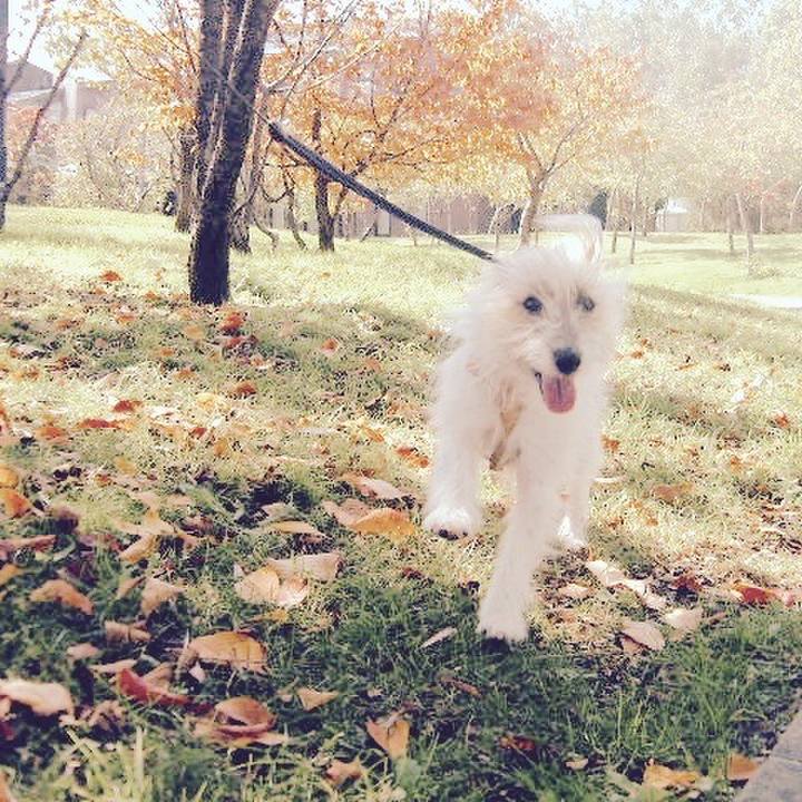 8811d449 6623 44b7 83f7 318f35726552