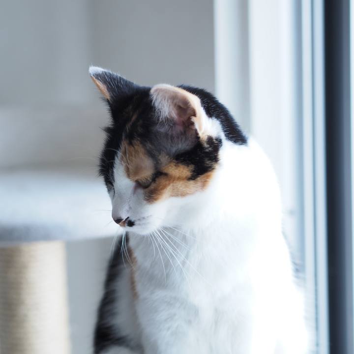 8811f108 b6f2 4ff4 babe 670e54d9fd0e