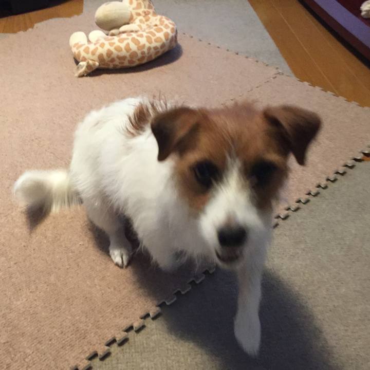 88125ae0 f83f 4c9e 906b 91cadfaf7731