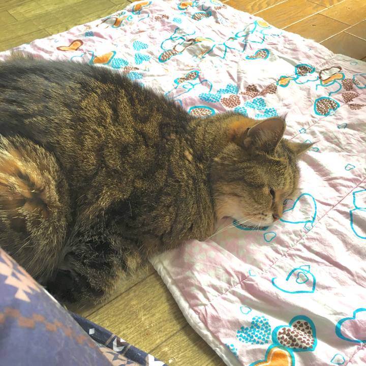 8812cd40 fab6 4828 8522 fafeb61e2cc0