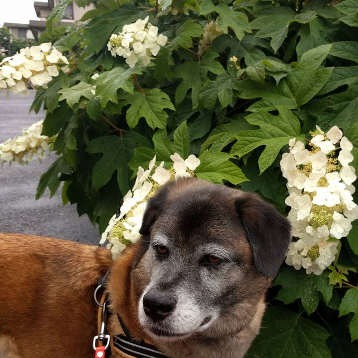 8812dacd dd84 4c5d b140 550fd4d6ab08