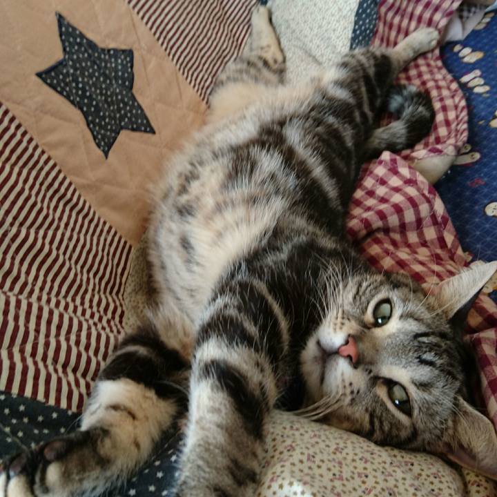 8812e4b3 dcc7 4ef4 87ed 260d94fb3a14