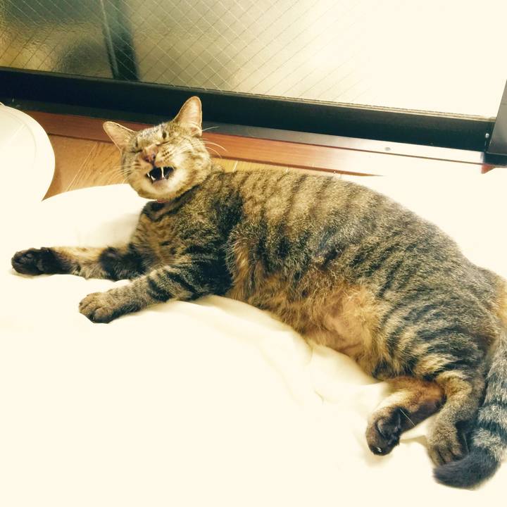 8812fe64 5e49 491f b7af 1a5e68b06af6