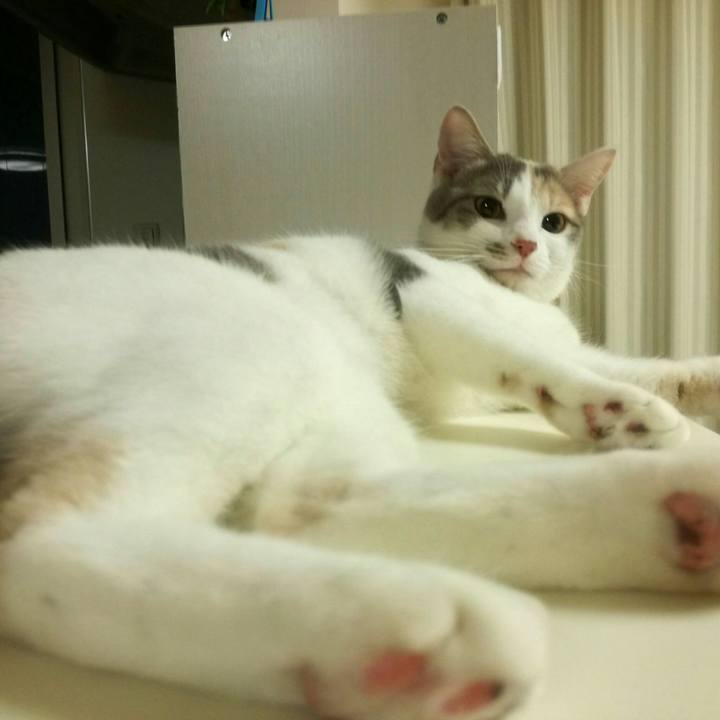 8813be5c 871b 4a1a 8c2b 0879deb125d5