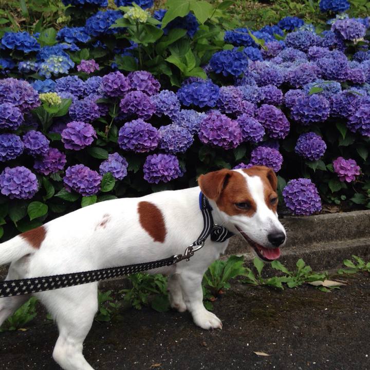 88147145 3dd6 4cec b1c9 8d48cd38ce80