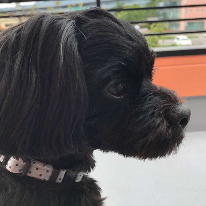 88148ab5 0979 4c10 8060 8c9902f70dbe