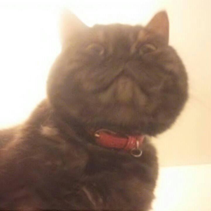 8814a09d 6c38 4f75 88ba d6d7154071e0