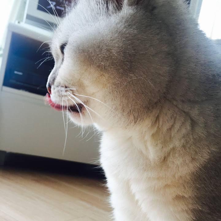 8815b2c7 57db 4c72 95ea 27539d4bf1ea