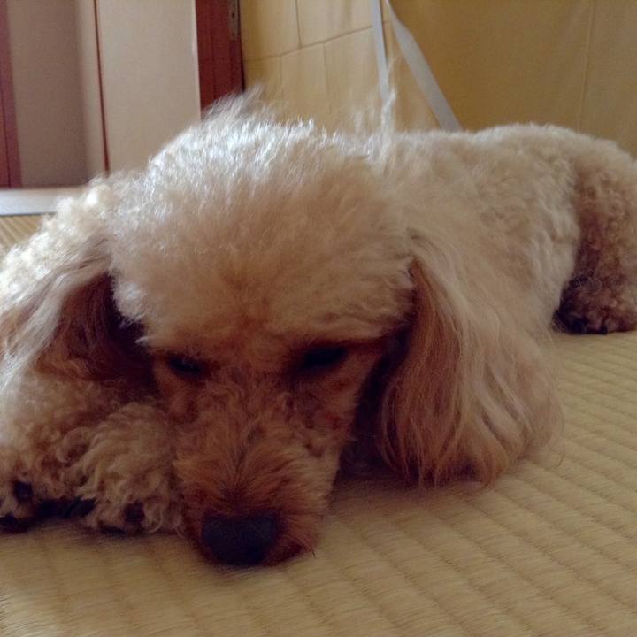 88166196 753e 4f8c 8fb4 7d7eca10cb6a