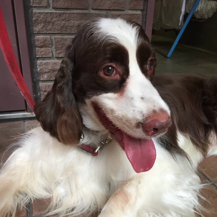 8816e6a0 4bac 408e a78d 36a3741a7e1d