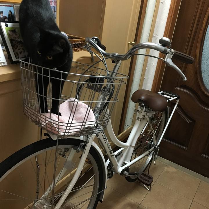 88180b1c ce03 4b63 8d06 854d9e2e2379