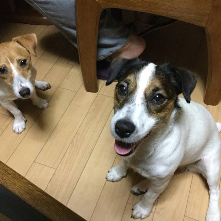 8818105d ff8e 4987 a486 102a1bee6c1c