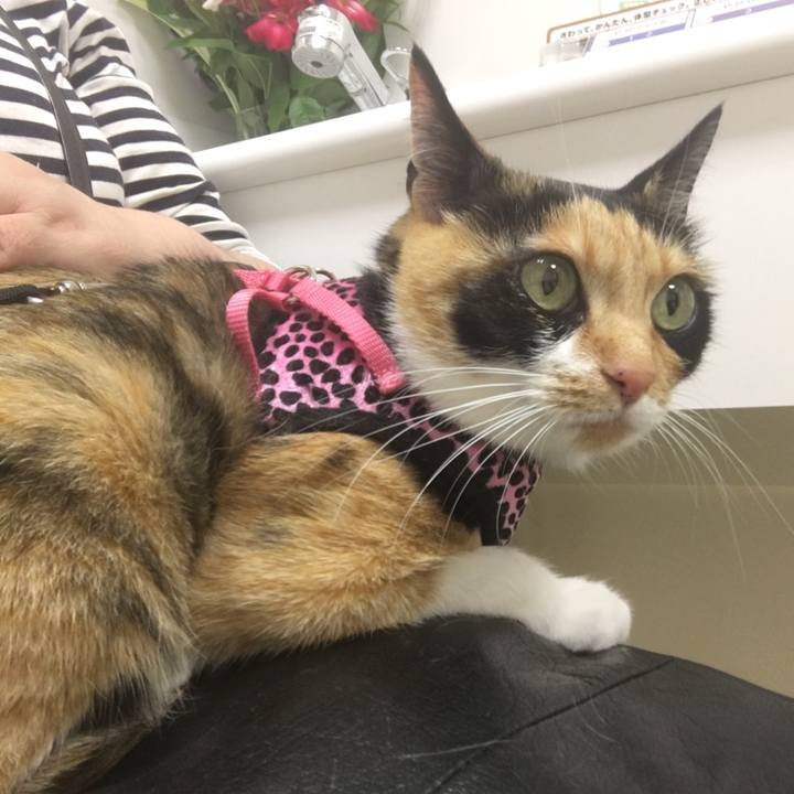 8818a940 4e6f 4a01 b5b2 79992890c1c6