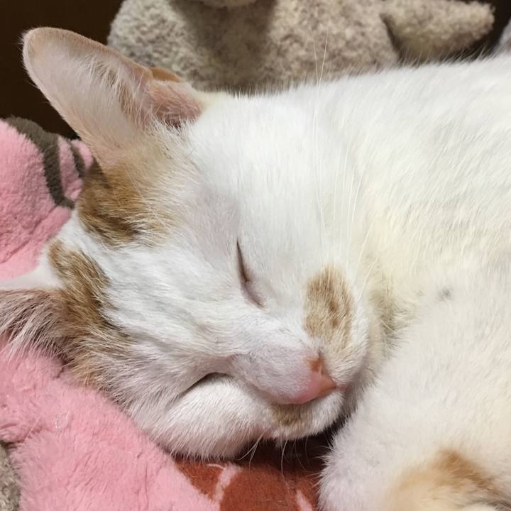 88193f30 0789 4521 b149 a7927b9fc482