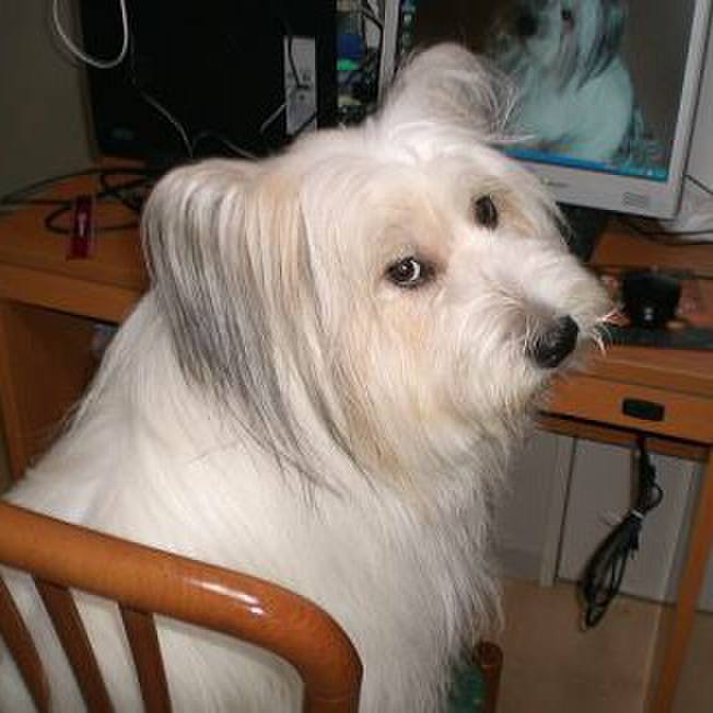 8819d52a 3404 4c02 a60b e48c279659da