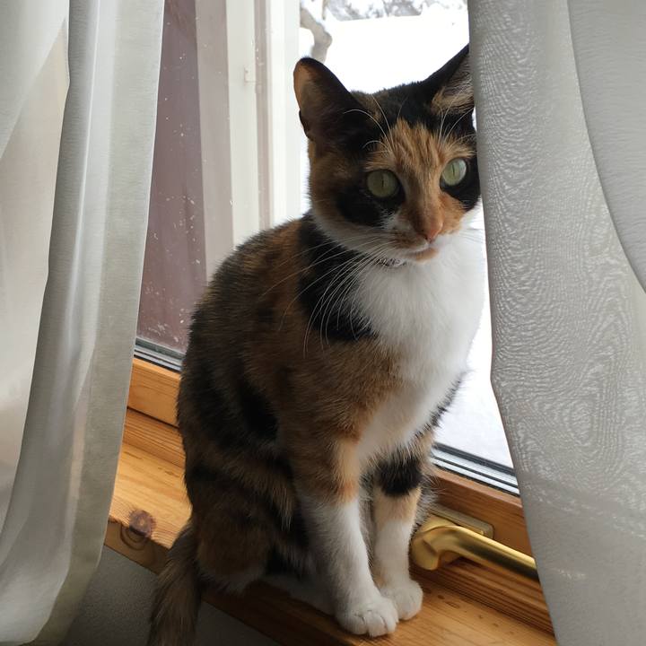 881a3b28 5315 41f9 9ebe 386e147c14e1