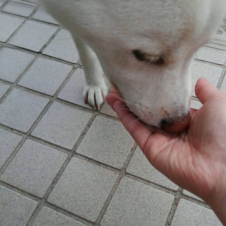 881ca650 26fd 47fc b22e a36511908055