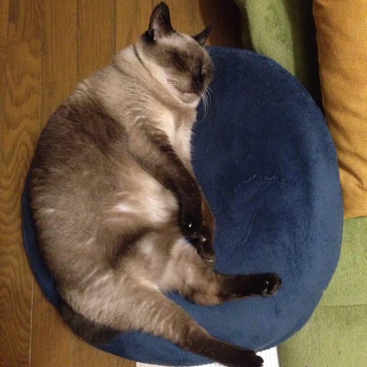 881d2010 d04e 4b46 9937 e9ca358d6b2b