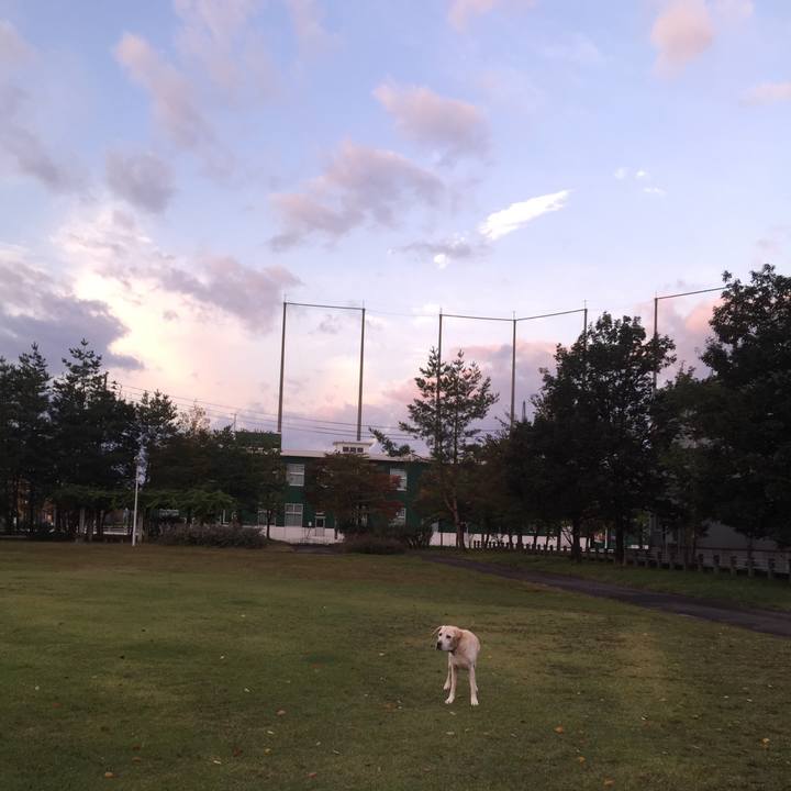 881da2a2 0032 45e0 819a 006dd679ac69