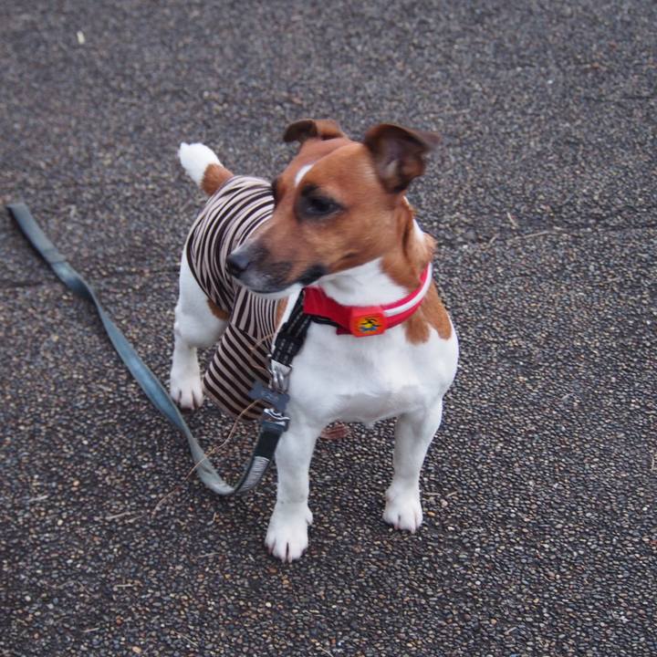 881dbd80 919d 46f7 acf2 7e5f41c91159