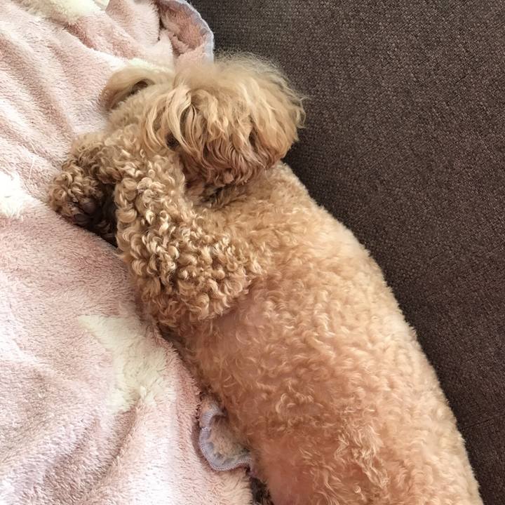 881dd3ec ea2b 429c 9a8e a143f66a2572