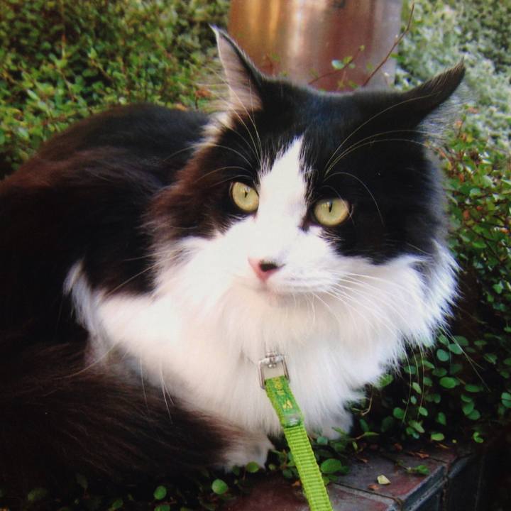 881e1919 26cb 4b7c 84ab f13112c1c588